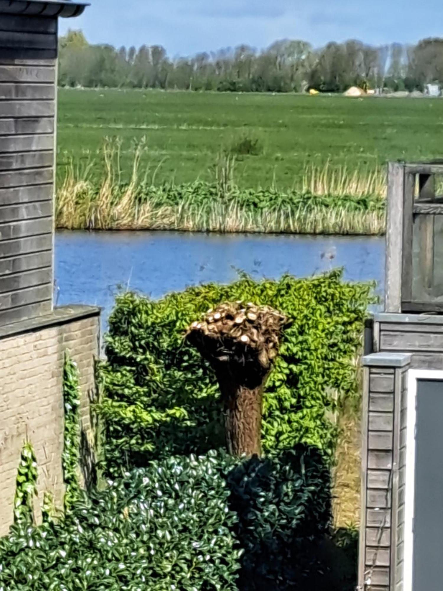 Fries Vakantiehuis, Grote Tuin, Nabij Het Pikmeer Грау Екстер'єр фото